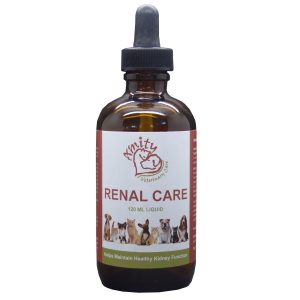 renal care