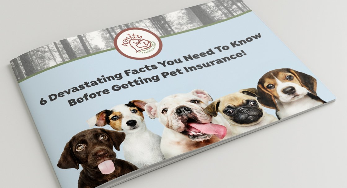 6 Devastating Facts You Need To Know Before Getting Pet Insurance